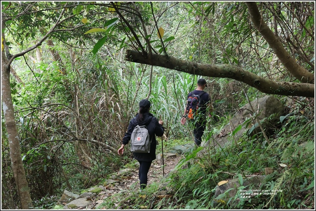 大禮部落(大禮步道)-2023-04-14-29.jpg 大禮部落(大禮步道)-2023-04-14-29.jpg