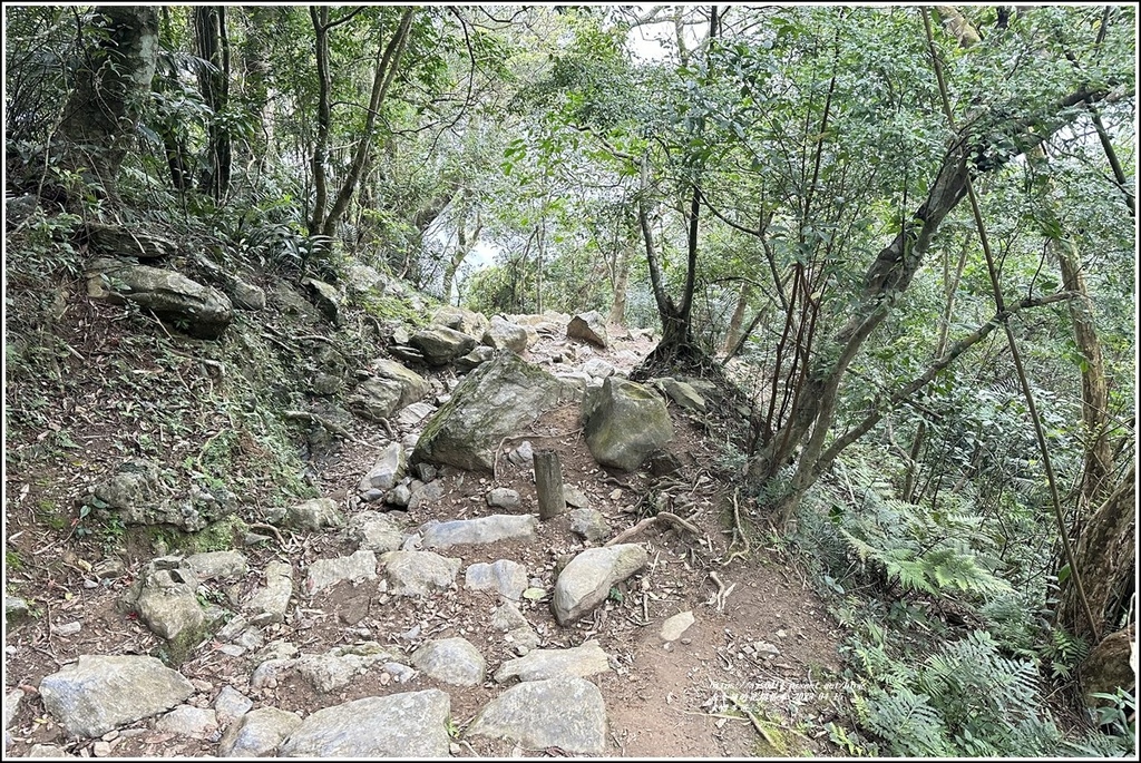 大禮部落(大禮步道)-2023-04-14-33.jpg 大禮部落(大禮步道)-2023-04-14-33.jpg