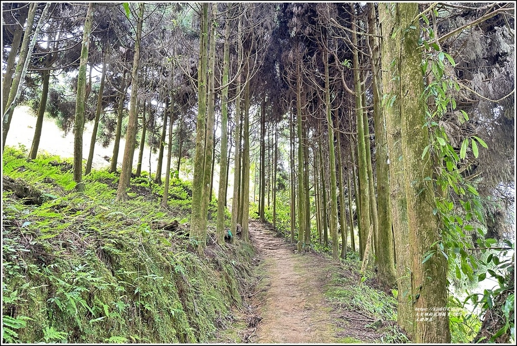 大禮部落-2023-04-14-06.jpg 大禮部落-2023-04-14-06.jpg