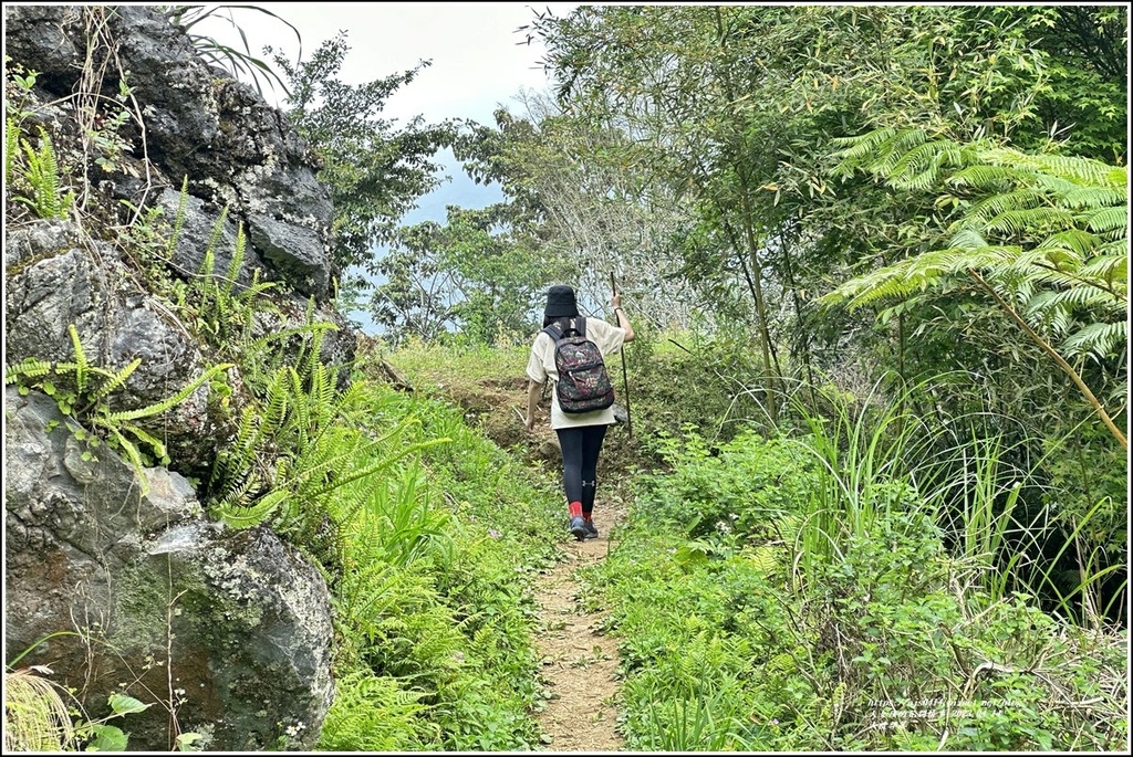 大禮部落-2023-04-14-07.jpg 大禮部落-2023-04-14-07.jpg