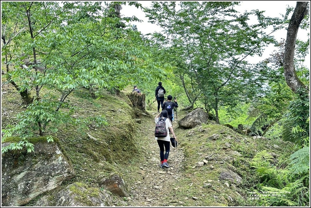 大禮部落-2023-04-14-23.jpg 大禮部落-2023-04-14-23.jpg