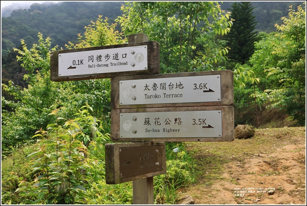 大禮部落-2023-04-14-27.jpg 大禮部落-2023-04-14-27.jpg