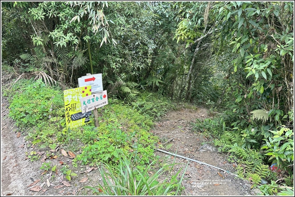 大禮部落-2023-04-14-32.jpg 大禮部落-2023-04-14-32.jpg