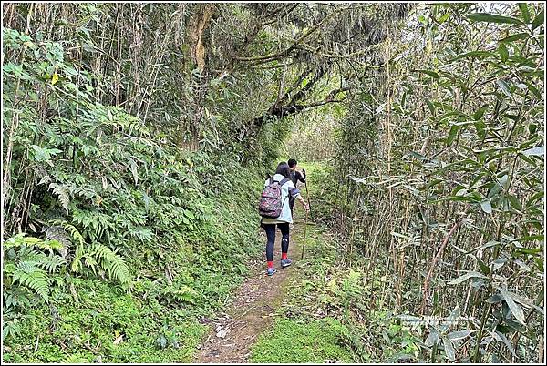 同禮步道-2023-04-15-109.jpg