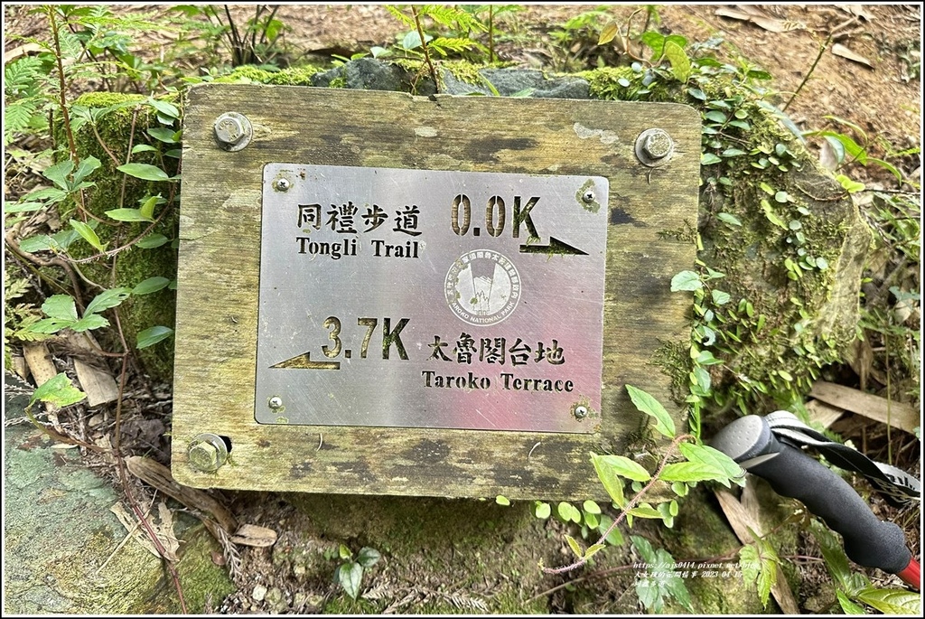 同禮步道-2023-04-15-113.jpg 同禮步道-2023-04-15-113.jpg