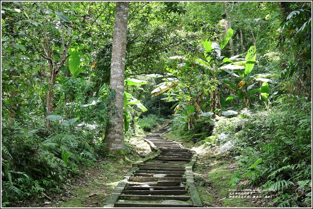 鯉魚潭賞鳥步道( 鯉魚山三角點)-2023-04-29-05.jpg 鯉魚潭賞鳥步道( 鯉魚山三角點)-2023-04-29-05.jpg