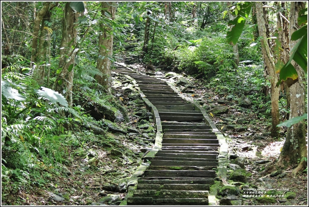 鯉魚潭賞鳥步道( 鯉魚山三角點)-2023-04-29-10.jpg 鯉魚潭賞鳥步道( 鯉魚山三角點)-2023-04-29-10.jpg
