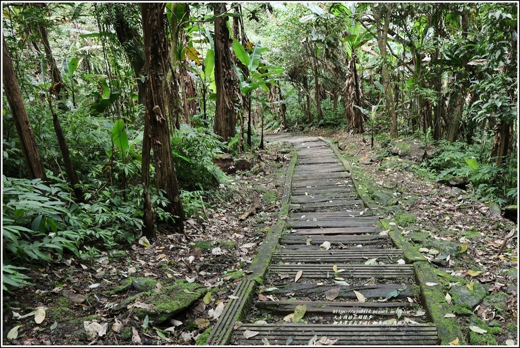 鯉魚潭賞鳥步道( 鯉魚山三角點)-2023-04-29-15.jpg 鯉魚潭賞鳥步道( 鯉魚山三角點)-2023-04-29-15.jpg