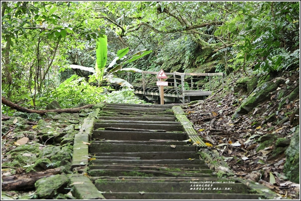 鯉魚潭賞鳥步道( 鯉魚山三角點)-2023-04-29-16.jpg