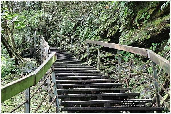 鯉魚潭賞鳥步道( 鯉魚山三角點)-2023-04-29-17.jpg