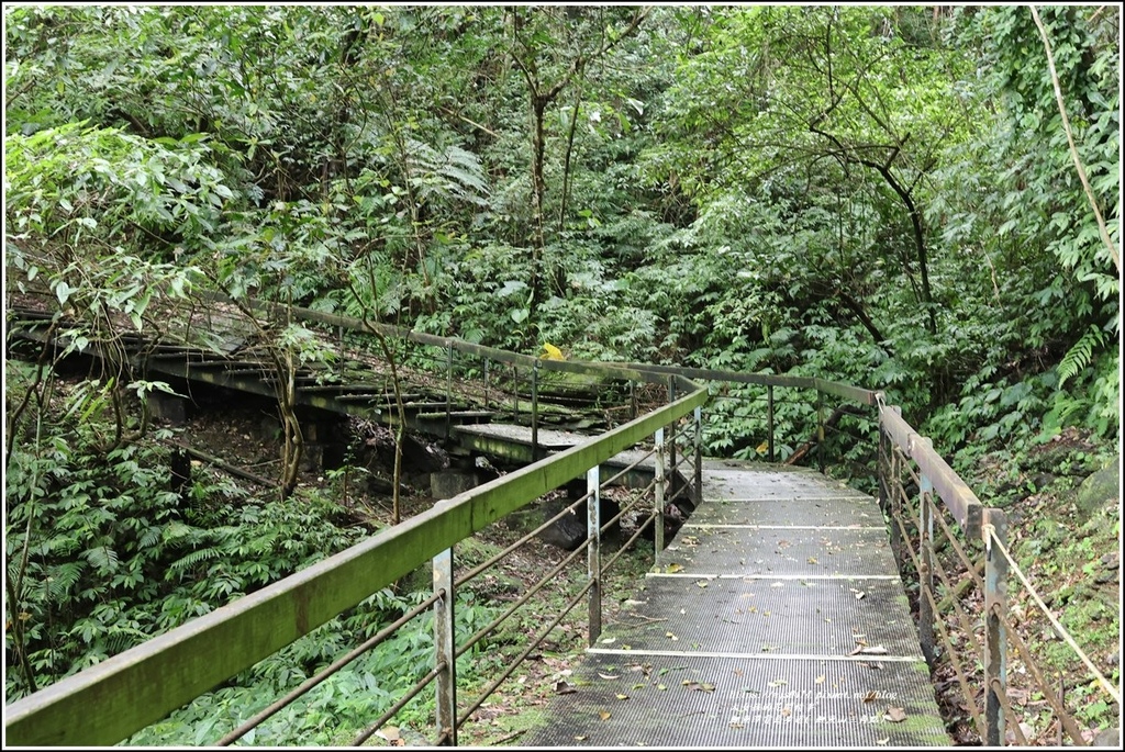 鯉魚潭賞鳥步道( 鯉魚山三角點)-2023-04-29-18.jpg 鯉魚潭賞鳥步道( 鯉魚山三角點)-2023-04-29-18.jpg