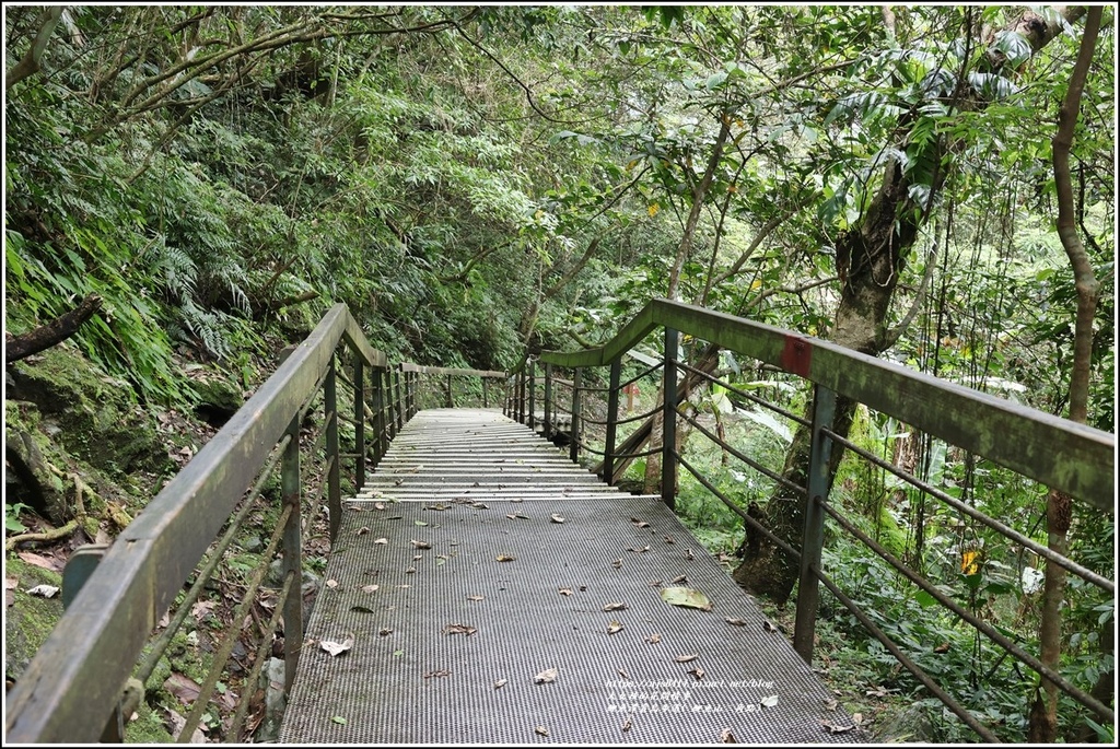 鯉魚潭賞鳥步道( 鯉魚山三角點)-2023-04-29-19.jpg 鯉魚潭賞鳥步道( 鯉魚山三角點)-2023-04-29-19.jpg