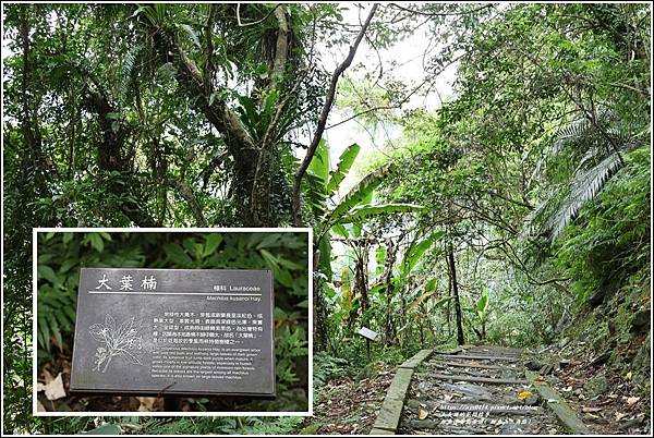 鯉魚潭賞鳥步道( 鯉魚山三角點)-2023-04-29-23.jpg