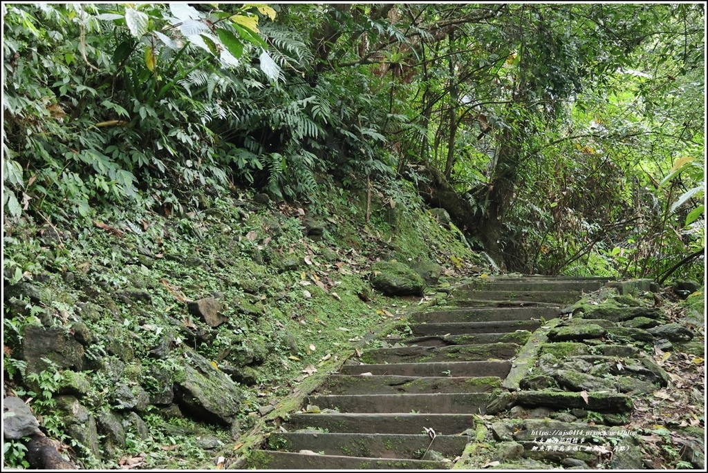 鯉魚潭賞鳥步道( 鯉魚山三角點)-2023-04-29-21.jpg 鯉魚潭賞鳥步道( 鯉魚山三角點)-2023-04-29-21.jpg