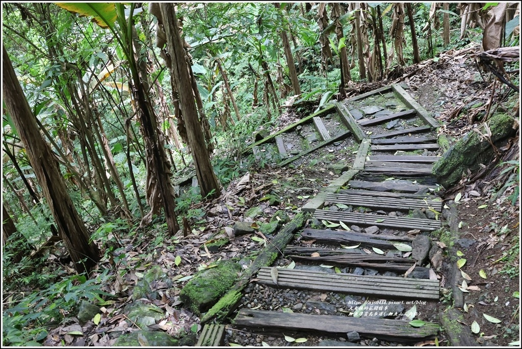 鯉魚潭賞鳥步道( 鯉魚山三角點)-2023-04-29-25.jpg 鯉魚潭賞鳥步道( 鯉魚山三角點)-2023-04-29-25.jpg