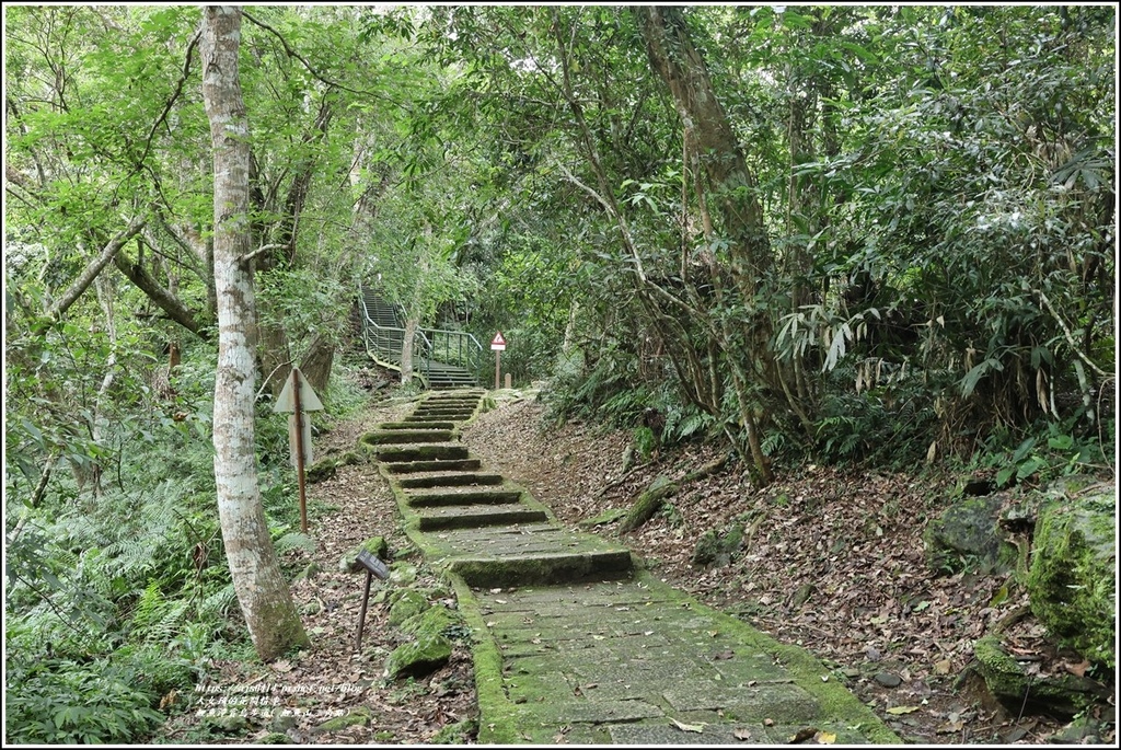 鯉魚潭賞鳥步道( 鯉魚山三角點)-2023-04-29-33.jpg 鯉魚潭賞鳥步道( 鯉魚山三角點)-2023-04-29-33.jpg