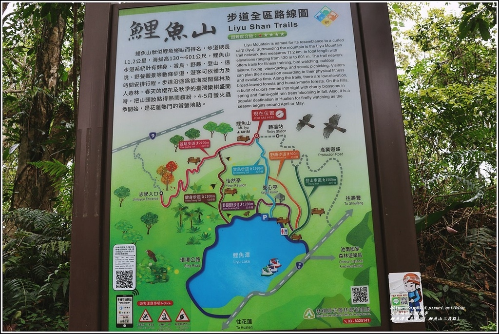 鯉魚潭賞鳥步道( 鯉魚山三角點)-2023-04-29-34.jpg 鯉魚潭賞鳥步道( 鯉魚山三角點)-2023-04-29-34.jpg