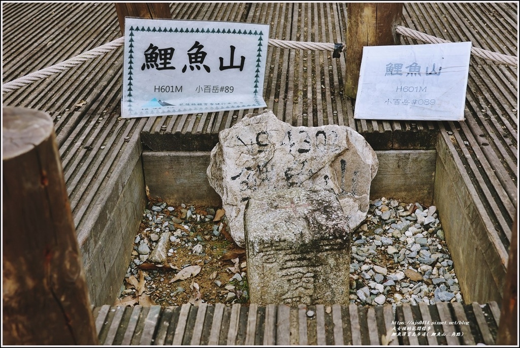 鯉魚潭賞鳥步道( 鯉魚山三角點)-2023-04-29-41.jpg 鯉魚潭賞鳥步道( 鯉魚山三角點)-2023-04-29-41.jpg