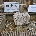 鯉魚潭賞鳥步道( 鯉魚山三角點)-2023-04-29-41.jpg