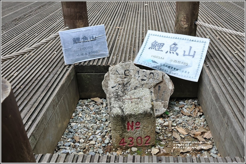 鯉魚潭賞鳥步道( 鯉魚山三角點)-2023-04-29-42.jpg 鯉魚潭賞鳥步道( 鯉魚山三角點)-2023-04-29-42.jpg
