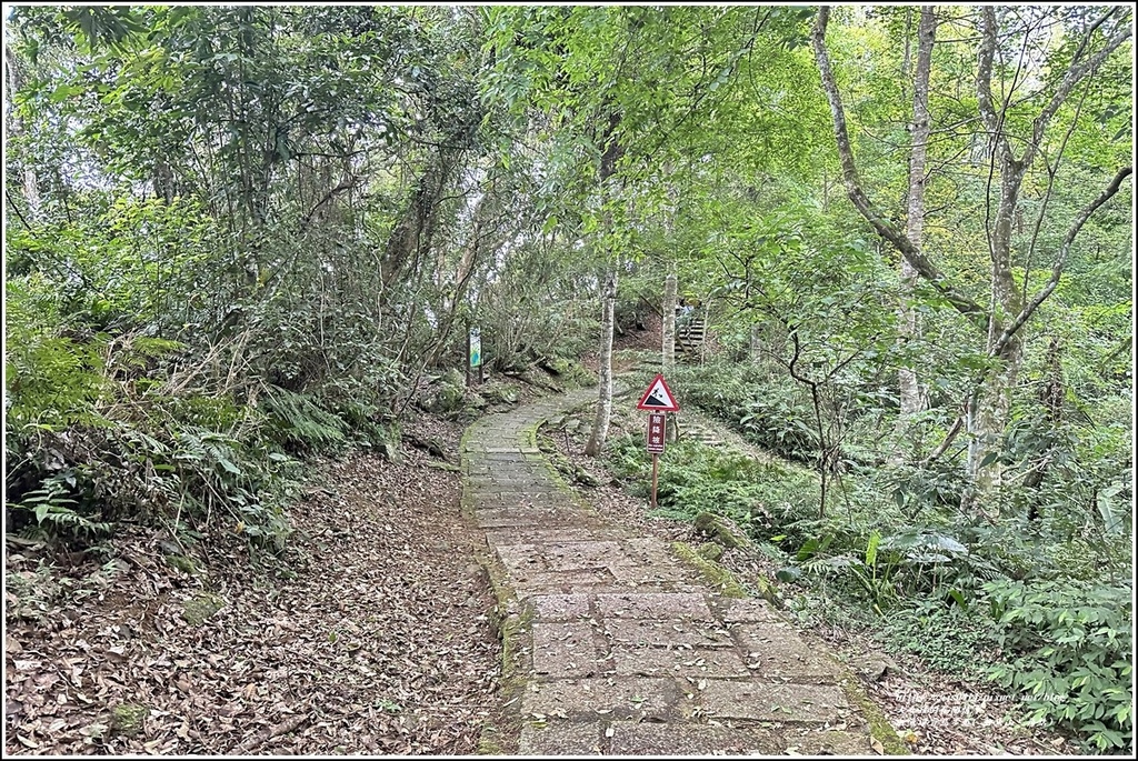 鯉魚潭賞鳥步道( 鯉魚山三角點)-2023-04-29-55.jpg