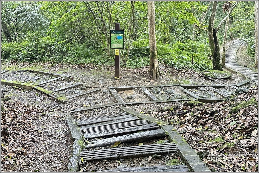 鯉魚潭賞鳥步道( 鯉魚山三角點)-2023-04-29-58.jpg