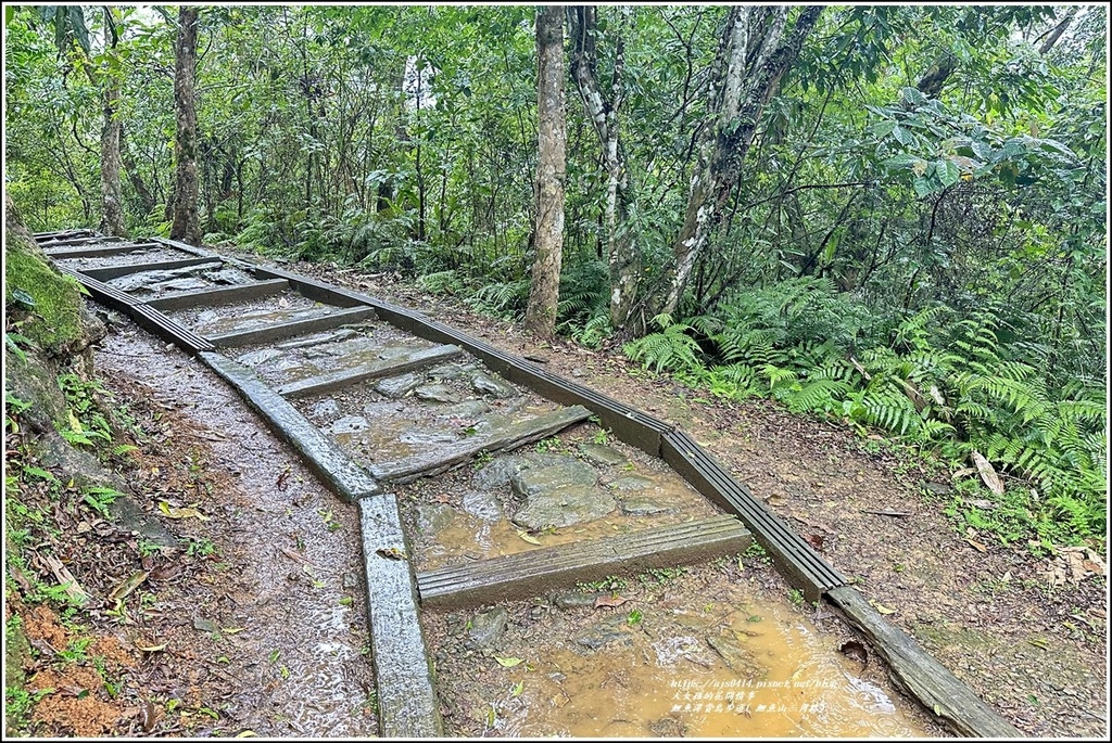 鯉魚潭賞鳥步道( 鯉魚山三角點)-2023-04-29-59.jpg 鯉魚潭賞鳥步道( 鯉魚山三角點)-2023-04-29-59.jpg