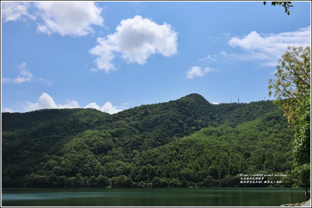 鯉魚潭賞鳥步道( 鯉魚山三角點)-2023-04-29-69.jpg