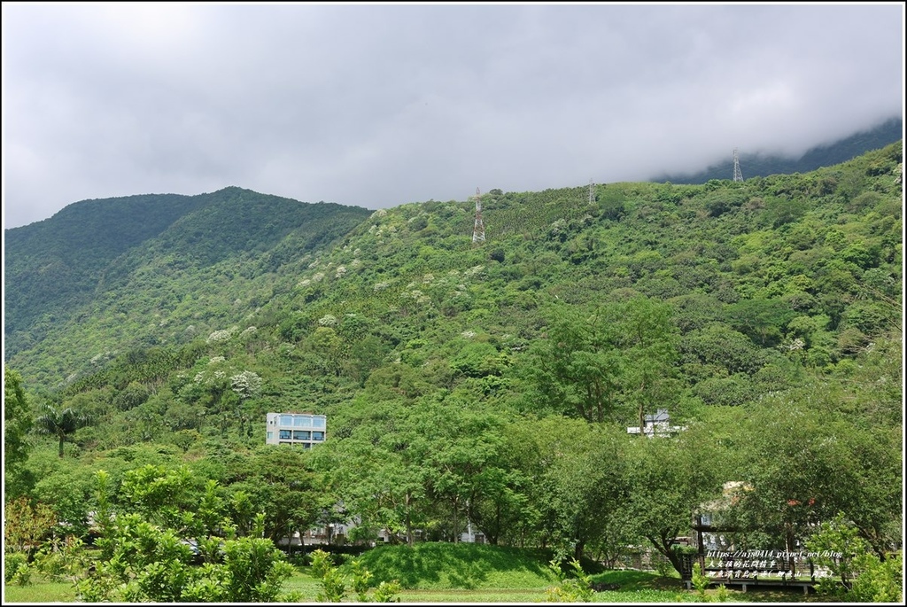 鯉魚潭賞鳥步道( 鯉魚山三角點)-2023-04-29-79.jpg 鯉魚潭賞鳥步道( 鯉魚山三角點)-2023-04-29-79.jpg