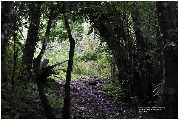 花蓮月眉山步道-2023-05-21-54.jpg