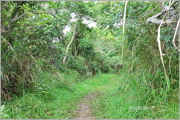 花蓮月眉山步道-2023-05-21-58.jpg
