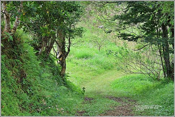 花蓮月眉山步道-2023-05-21-70.jpg