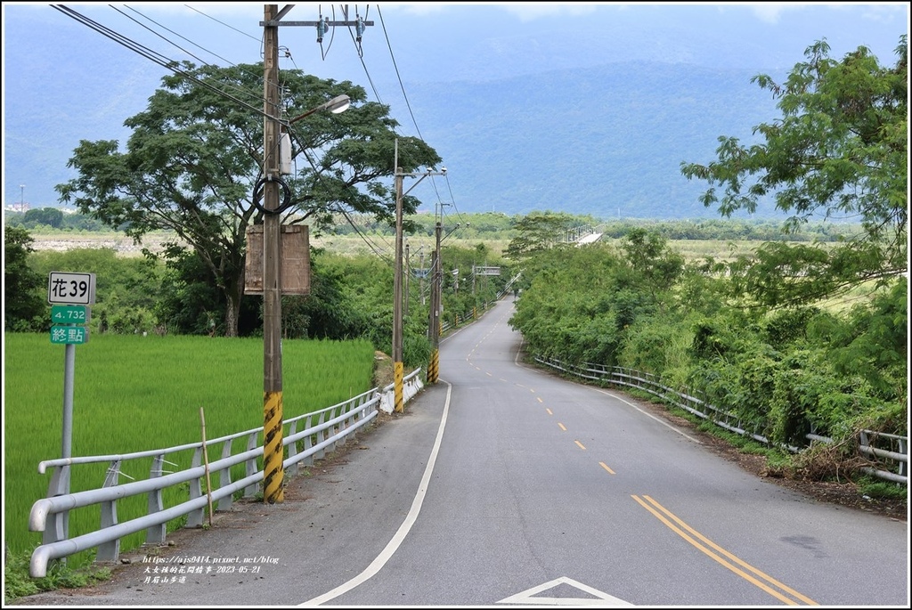 花蓮月眉山步道-2023-05-21-80.jpg