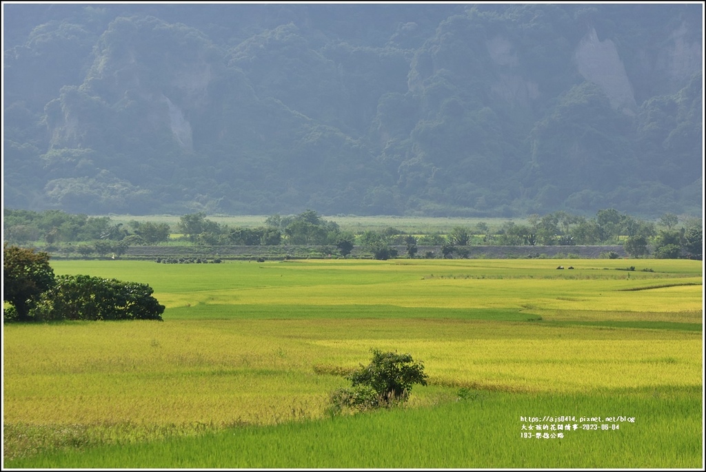 193-樂德公路-2023-06-04-04.jpg 193-樂德公路-2023-06-04-04.jpg