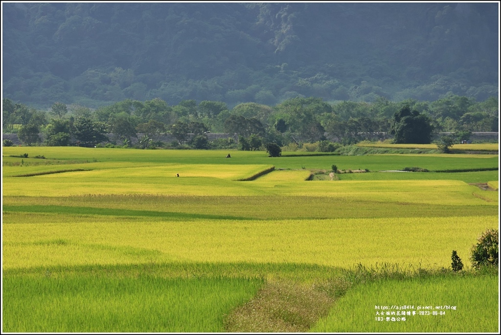 193-樂德公路-2023-06-04-05.jpg 193-樂德公路-2023-06-04-05.jpg
