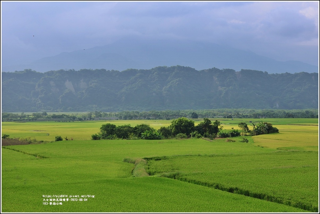 193-樂德公路-2023-06-04-06.jpg 193-樂德公路-2023-06-04-06.jpg