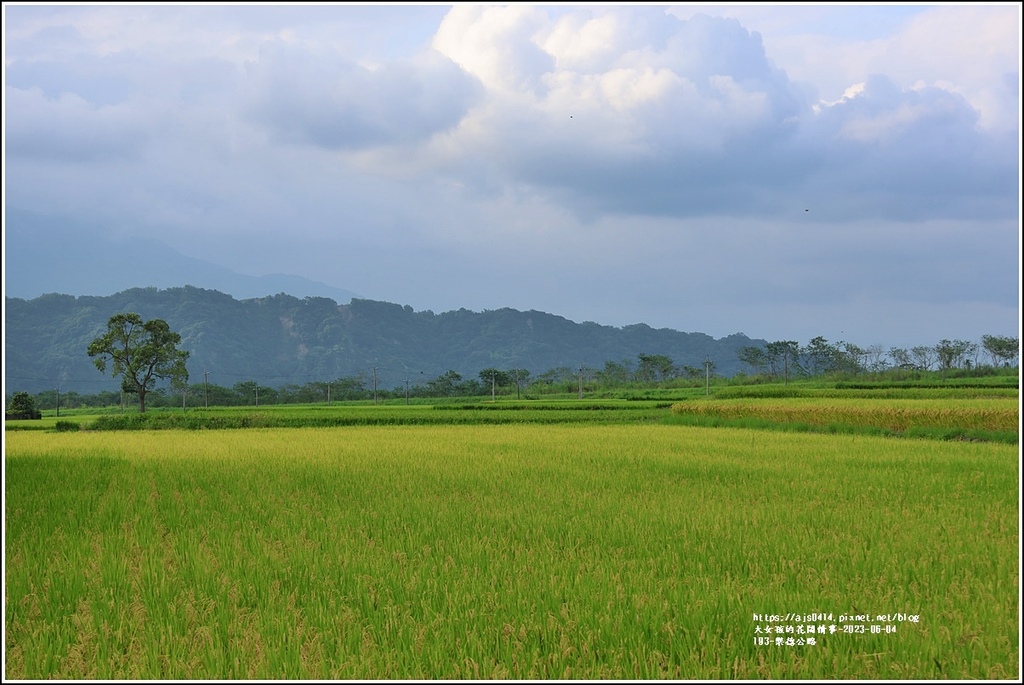 193-樂德公路-2023-06-04-12.jpg 193-樂德公路-2023-06-04-12.jpg