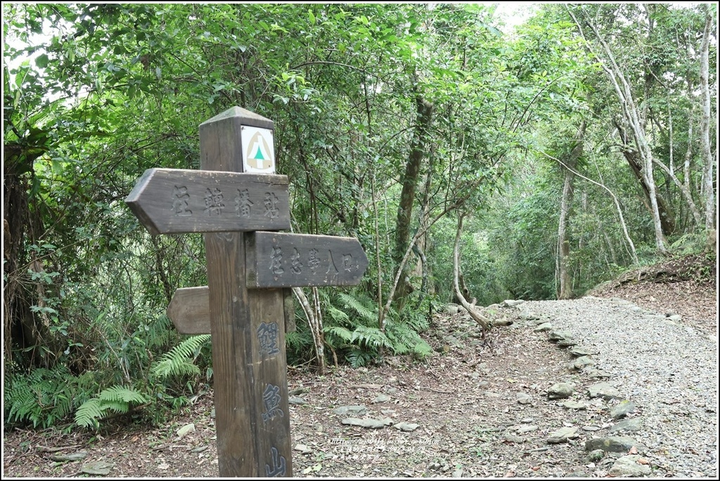 鯉魚山眺望步道-2023-04-29-05.jpg 鯉魚山眺望步道-2023-04-29-05.jpg