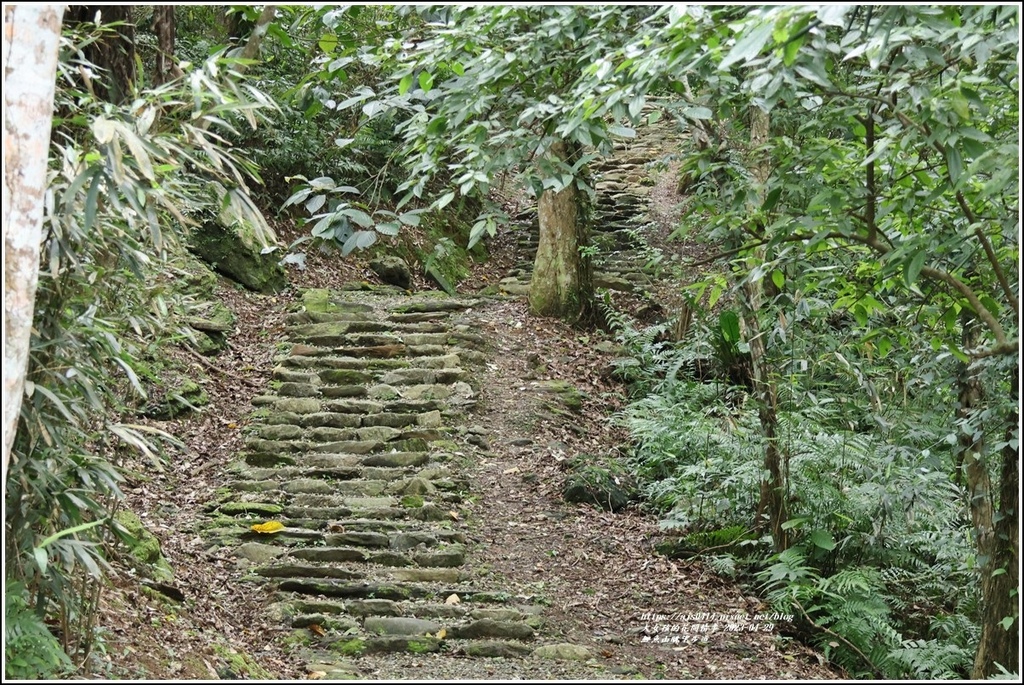 鯉魚山眺望步道-2023-04-29-04.jpg 鯉魚山眺望步道-2023-04-29-04.jpg
