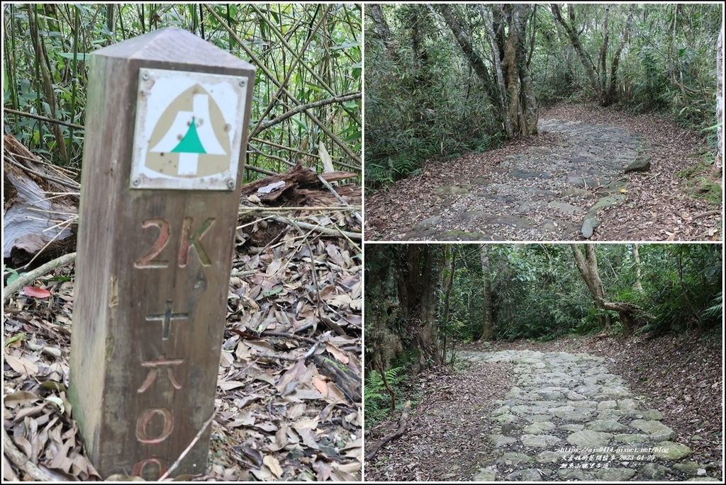 鯉魚山眺望步道-2023-04-29-02.jpg 鯉魚山眺望步道-2023-04-29-02.jpg