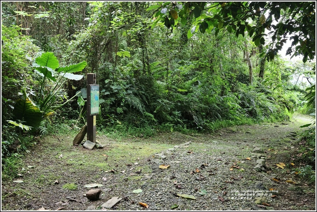 鯉魚山眺望步道-2023-04-29-12.jpg 鯉魚山眺望步道-2023-04-29-12.jpg