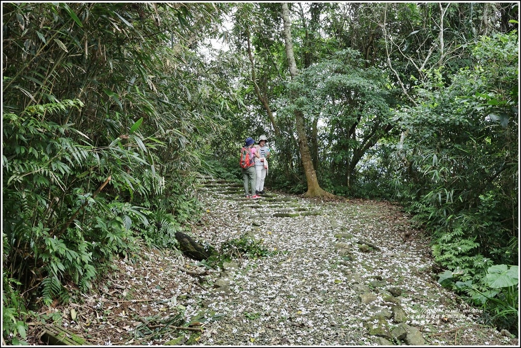 鯉魚山眺望步道-2023-04-29-09.jpg 鯉魚山眺望步道-2023-04-29-09.jpg