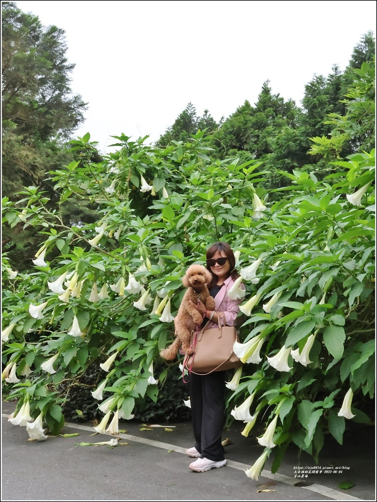 青山農場-2023-06-04-10.jpg 青山農場-2023-06-04-10.jpg