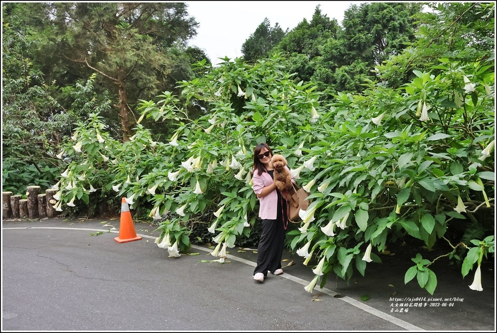 青山農場-2023-06-04-09.jpg 青山農場-2023-06-04-09.jpg