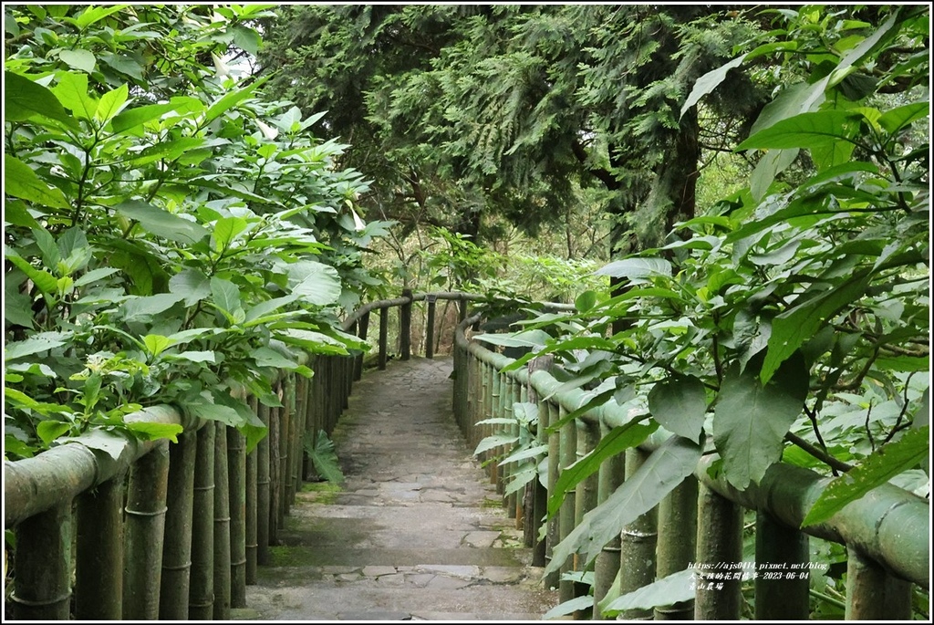 青山農場-2023-06-04-12.jpg 青山農場-2023-06-04-12.jpg