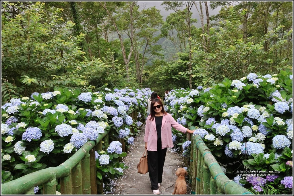青山農場-2023-06-04-21.jpg 青山農場-2023-06-04-21.jpg