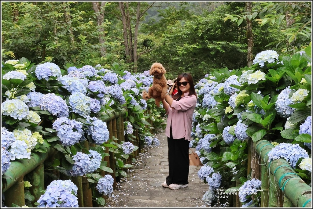 青山農場-2023-06-04-26.jpg 青山農場-2023-06-04-26.jpg