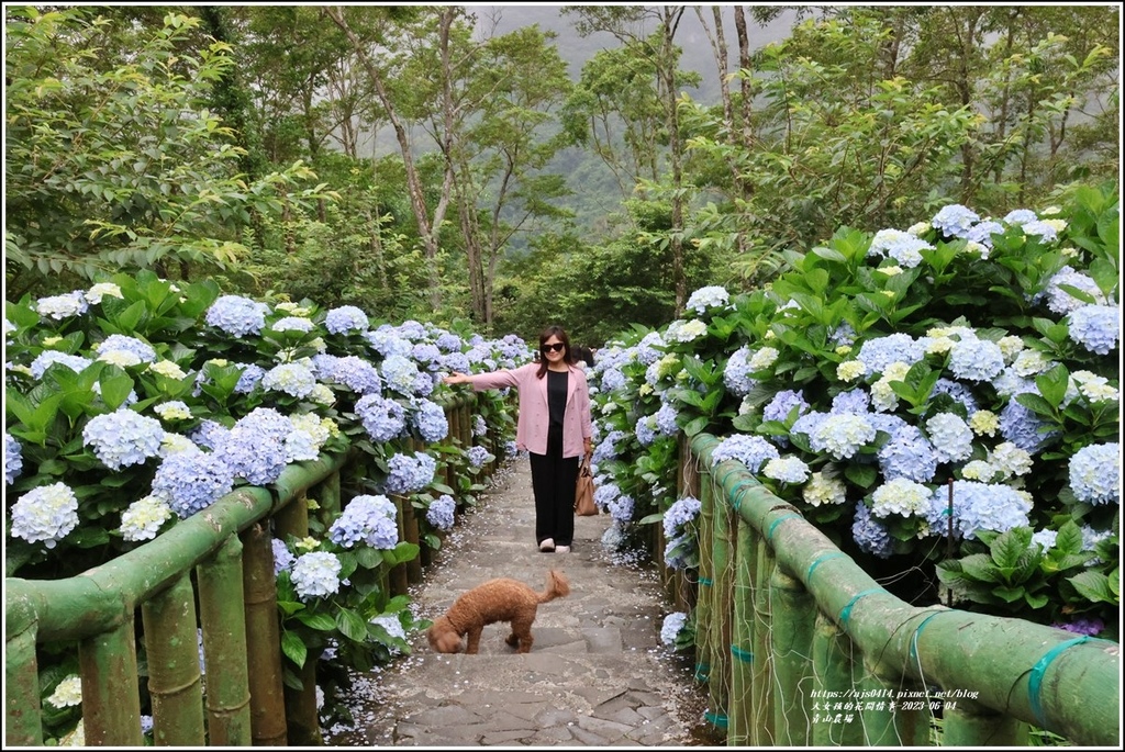 青山農場-2023-06-04-25.jpg 青山農場-2023-06-04-25.jpg
