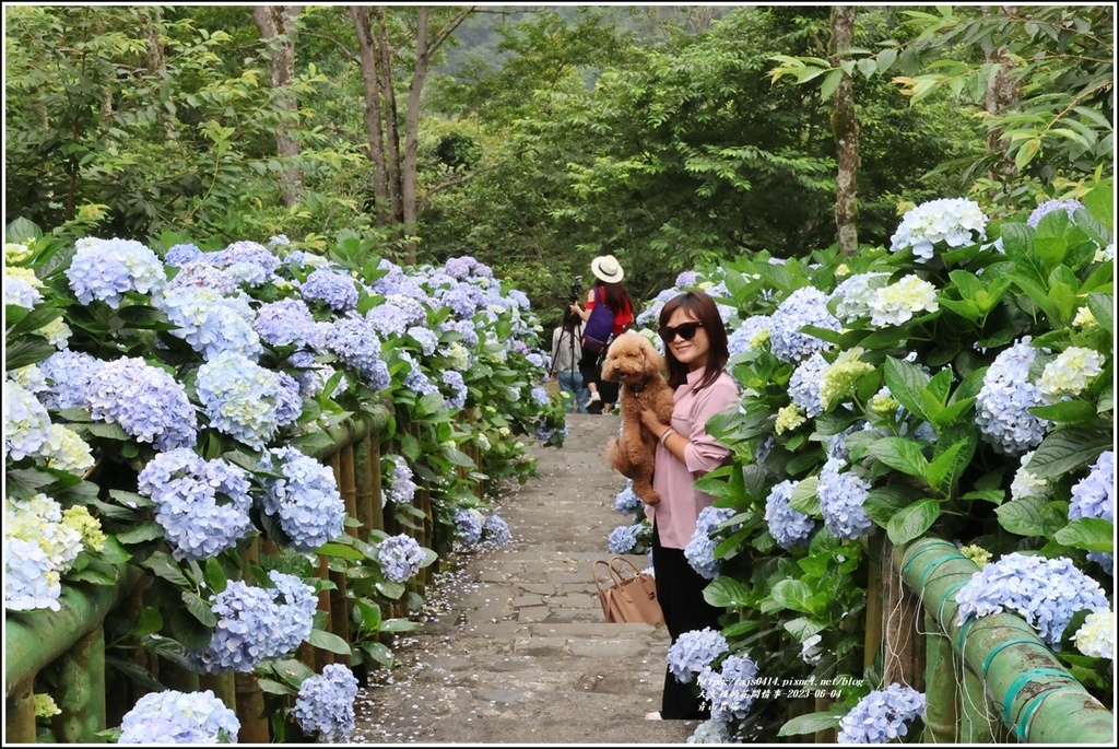 青山農場-2023-06-04-28.jpg 青山農場-2023-06-04-28.jpg