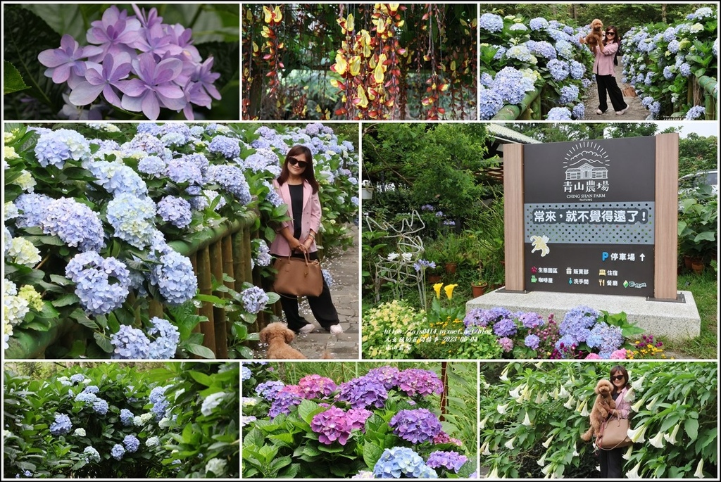 青山農場-2023-06-04-31.jpg 青山農場-2023-06-04-31.jpg